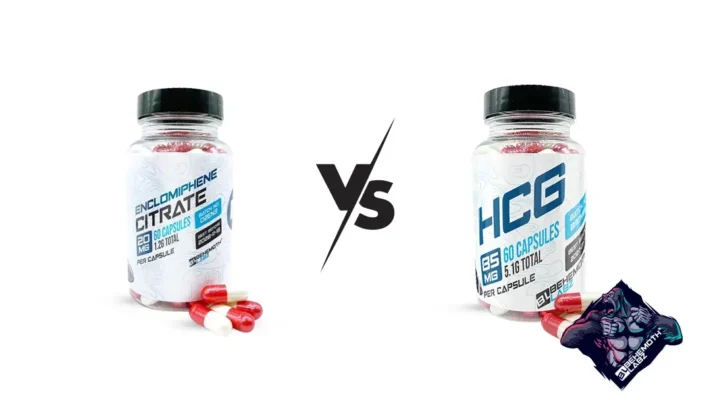 HCG VS Enclomiphene