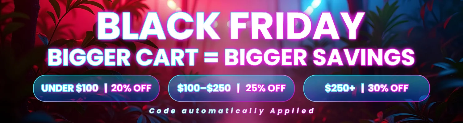 Black Friday Banner